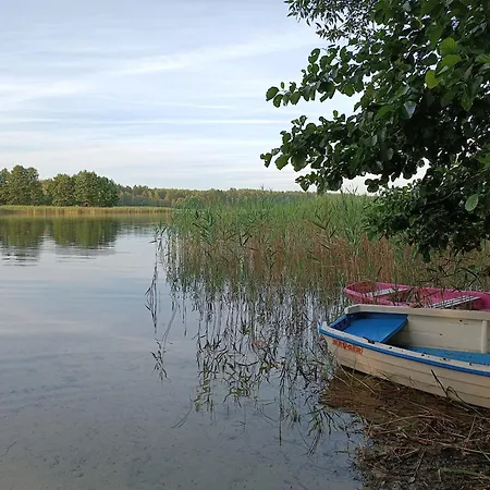 Jelonek Nad Jeziorem I Rzeką * Spore