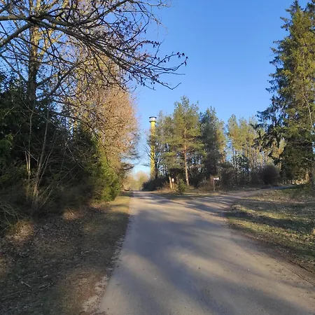 Jelonek Nad Jeziorem I Rzeką Spore