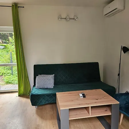 Jelonek Nad Jeziorem I Rzeką Holiday home *