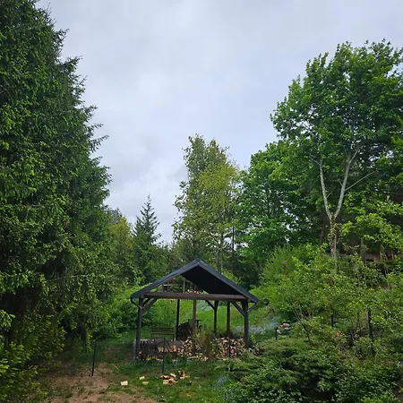 Jelonek Nad Jeziorem I Rzeką *